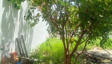 WhatsApp Image 2026-04-07 at 12.16.47 3.jpeg